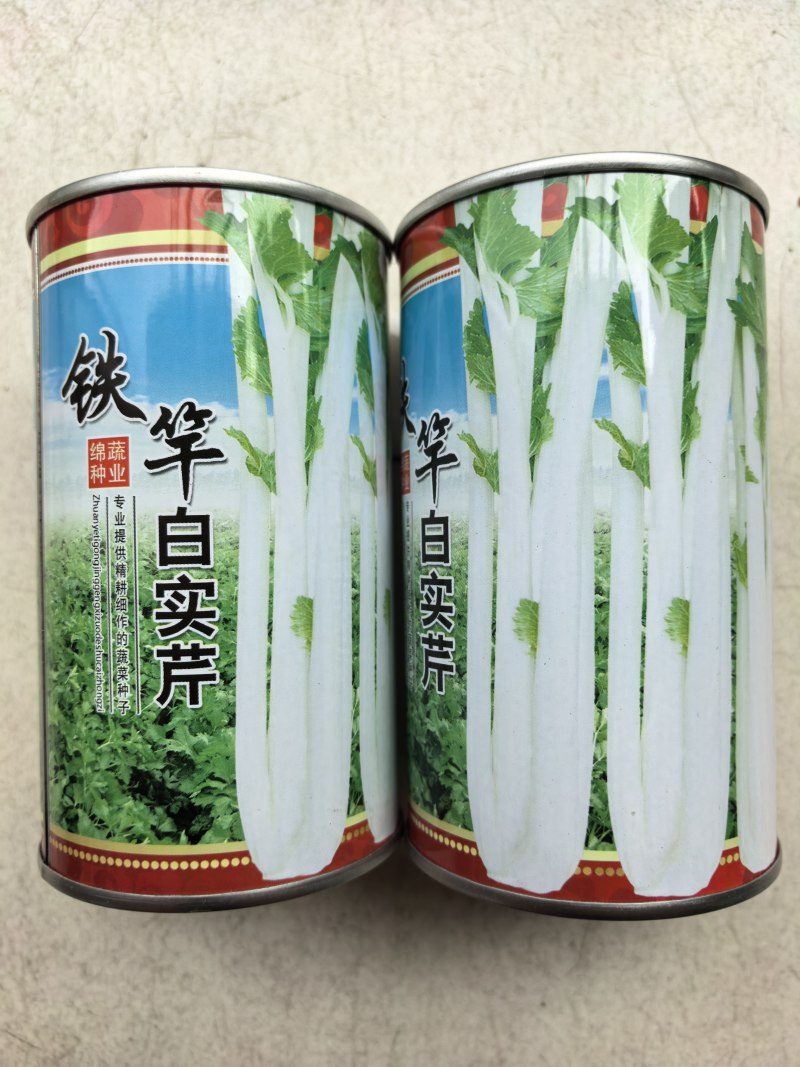 铁杆白实芹菜种子棉蔬实心白芹菜小香芹四川耐热四季西芹种子