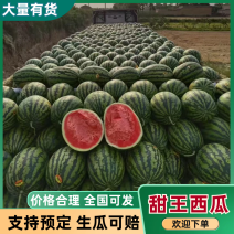 【大量上市】甜王精品甜王皮薄大红瓤皮毛靓个大饱满特甜
