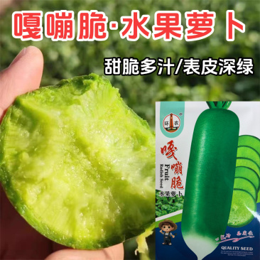 嘎嘣脆水果萝卜种子甜脆沙窝萝卜种籽青萝卜四季种植蔬菜种籽