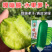 嘎嘣脆水果萝卜种子甜脆沙窝萝卜种籽青萝卜四季种植蔬菜种籽