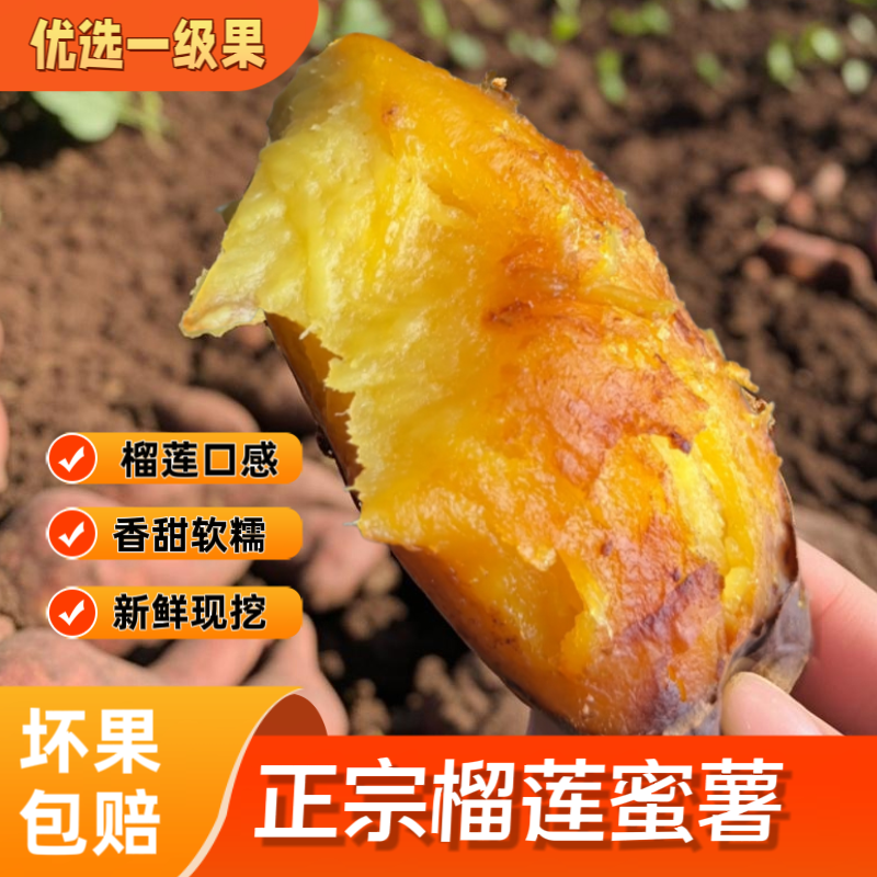 （一件代发）云南产地榴莲蜜薯货源充足售后保障品质全国可发