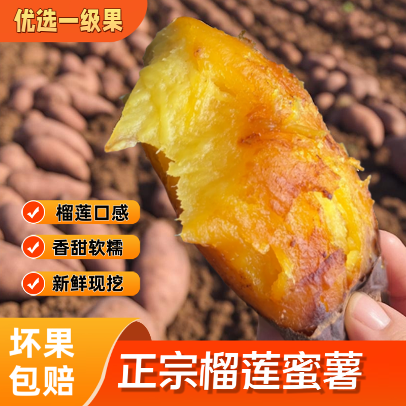 （一件代发）云南产地榴莲蜜薯货源充足售后保障品质全国可发