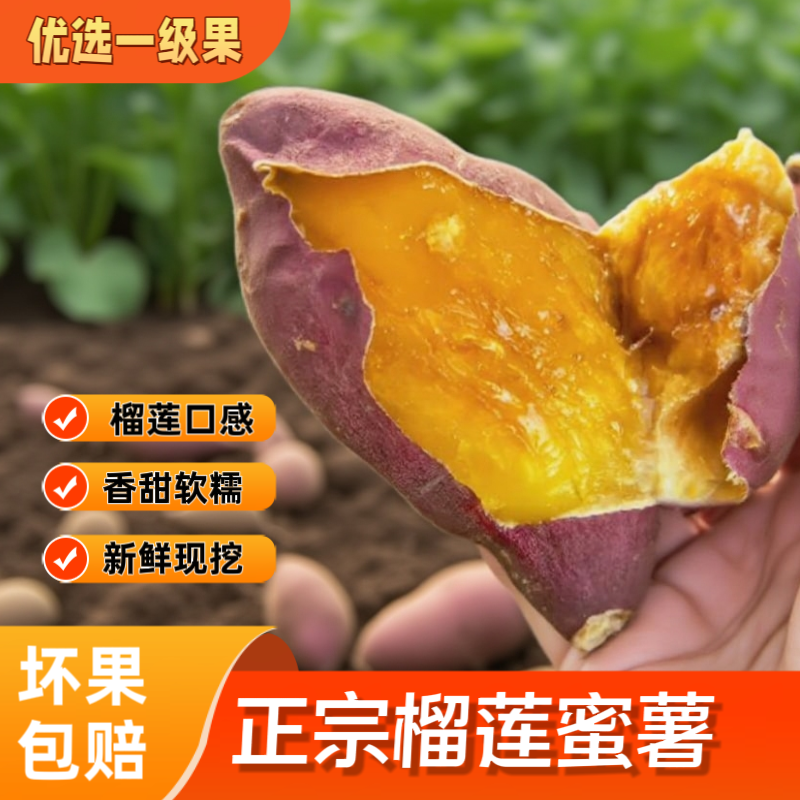 （一件代发）云南产地榴莲蜜薯货源充足售后保障品质全国可发