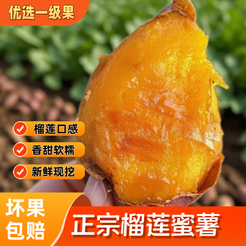 （一件代发）云南产地榴莲蜜薯货源充足售后保障品质全国可发