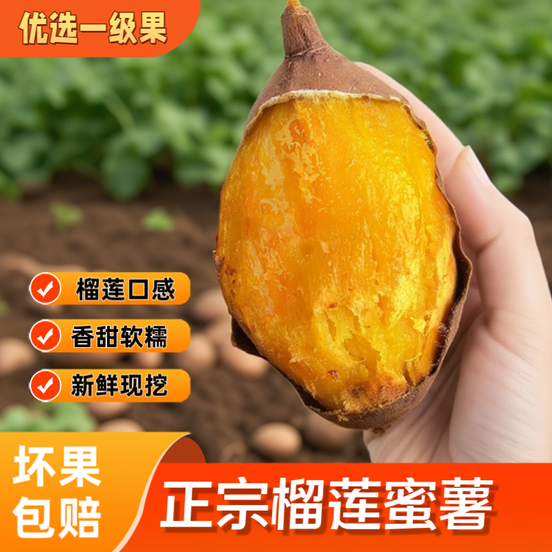 （一件代发）云南产地榴莲蜜薯货源充足售后保障品质全国可发