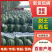 临沂沂水西瓜，甜王西瓜新鲜现货欢迎选购