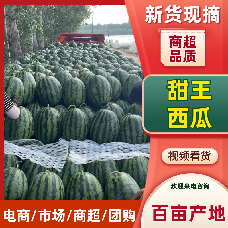 临沂沂水西瓜，甜王西瓜新鲜现货欢迎选购