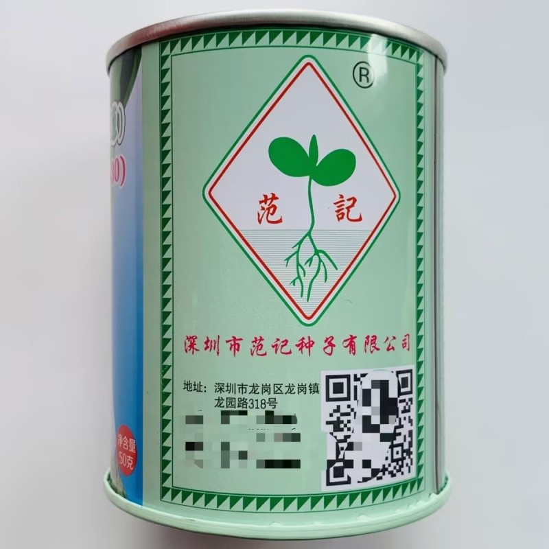 蒜苗种子花旗西蒜种子美国韭葱扁叶葱大蒜耐热耐寒春秋蒜薹种