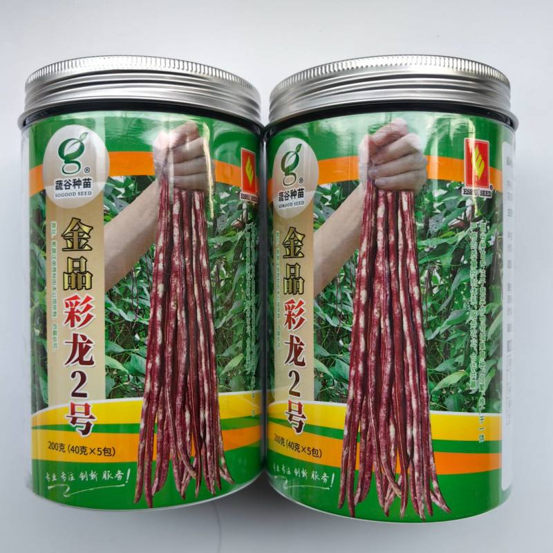 彩龙2号红豇豆种子加长紫红长豇豆紫红豆角春夏秋紫架豆种子