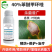 40%苯醚甲环唑炭疽病白粉病霜霉病灰霉叶斑病真菌病害农药