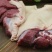 【军哥羊肉】带皮羊腿肉工厂源头直发精品羊肉包邮