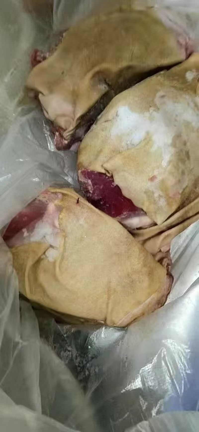 【军哥羊肉】带皮羊腿肉工厂源头直发精品羊肉包邮
