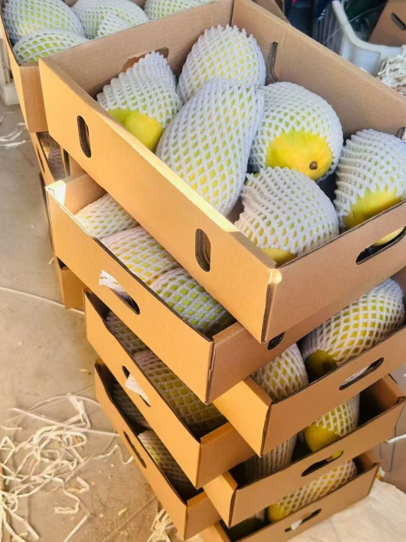 精品芒果，大量新鲜现货速发，味美价廉欢迎选购