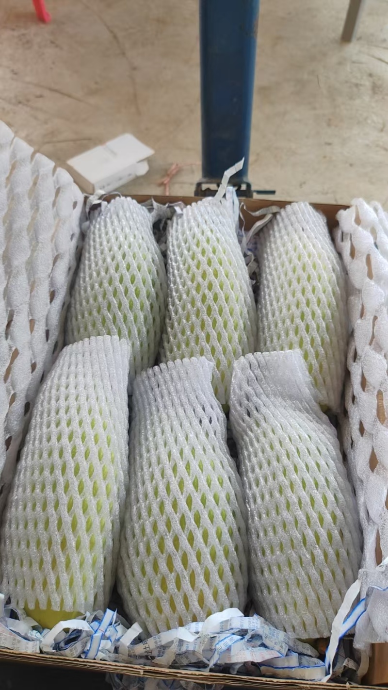 精品芒果，大量新鲜现货速发，味美价廉欢迎选购