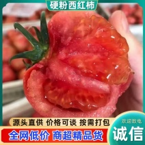 辽宁硬粉西红柿大小规格齐全硬度好耐运输储存提供箱子网袋包装