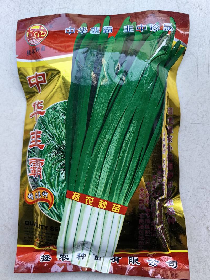 中华韭霸韭菜种子冬季不休眠耐寒宽叶黑绿叶白根韭菜种子籽孑