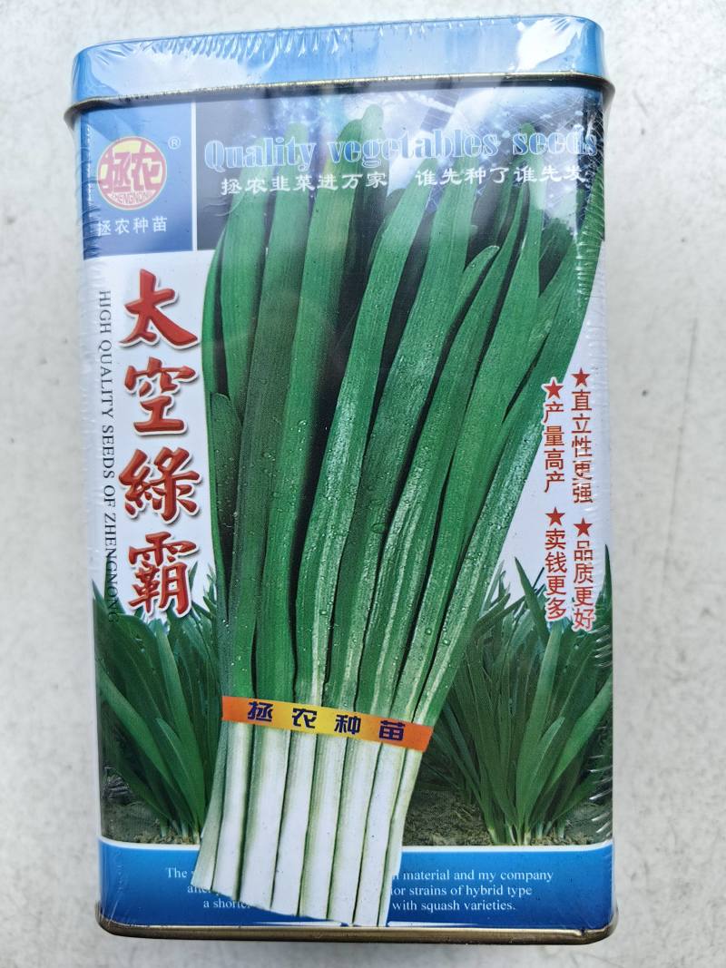 中华韭霸韭菜种子冬季不休眠耐寒宽叶黑绿叶白根韭菜种子籽孑