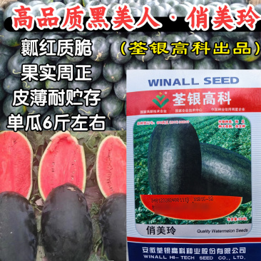 黑美人西瓜种子俏美玲礼品西瓜黑皮红瓤薄皮甜脆西瓜水果种子