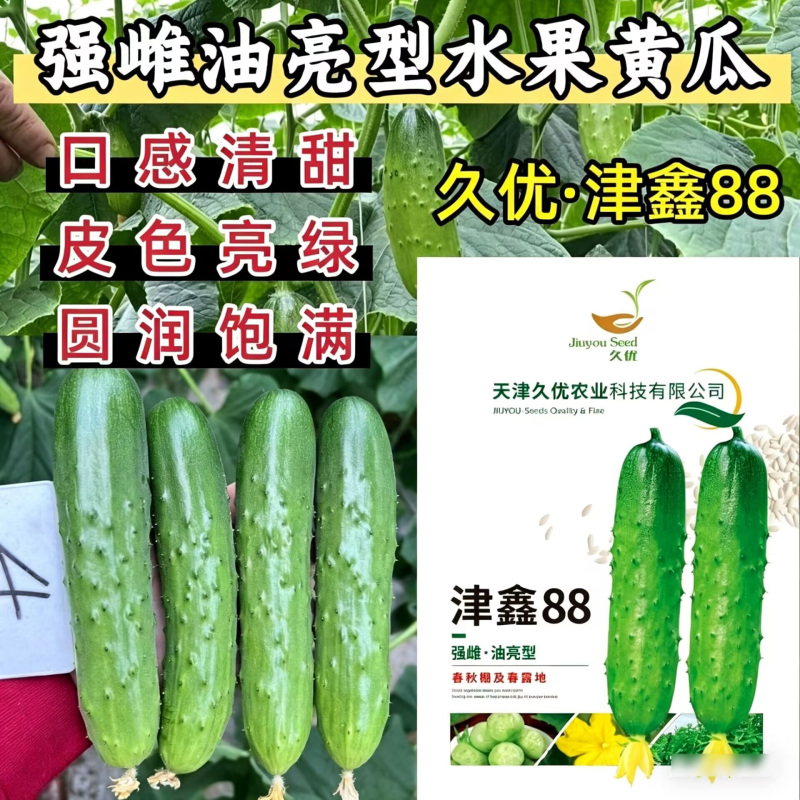 津鑫88水果黄瓜种子口感型鲜乳瓜秋瓜旱黄瓜阳台盆栽蔬菜种