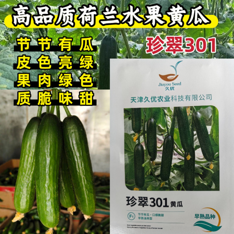 荷兰水果黄瓜种子乳瓜深绿甜脆无刺节节有瓜春秋黄瓜种子