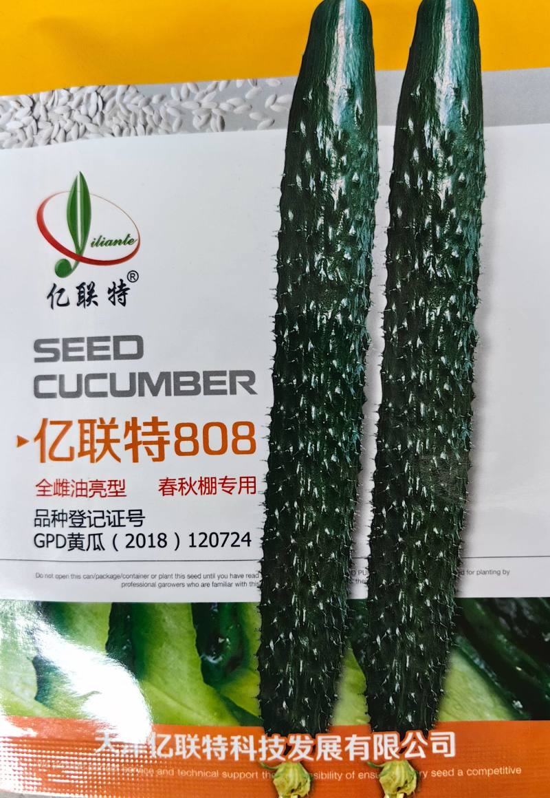 亿联特808黄瓜种子全雌油亮耐高温绿肉短把早春秋大棚黄瓜