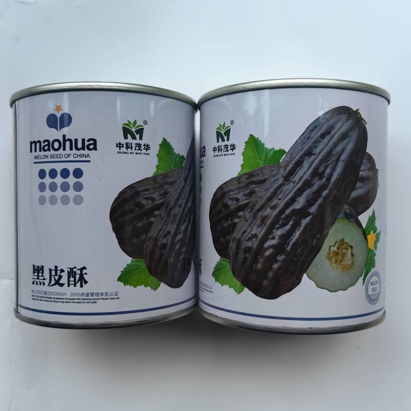 黑皮酥瓜种子菜瓜种子酥脆八棱菜瓜黑酥瓜微甜黑皮甜瓜种子籽