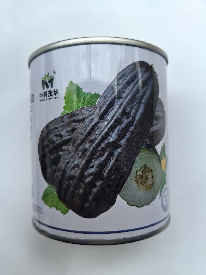 黑皮酥瓜种子菜瓜种子酥脆八棱菜瓜黑酥瓜微甜黑皮甜瓜种子籽
