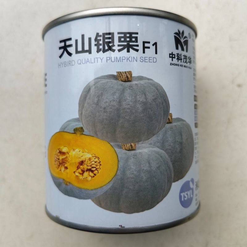 天山银栗南瓜种子贵族板栗南瓜粉糯甘甜白皮贝贝南瓜蔬菜种子