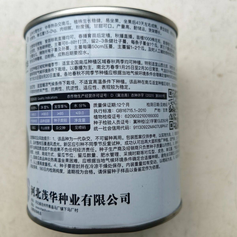 天山银栗南瓜种子贵族板栗南瓜粉糯甘甜白皮贝贝南瓜蔬菜种子