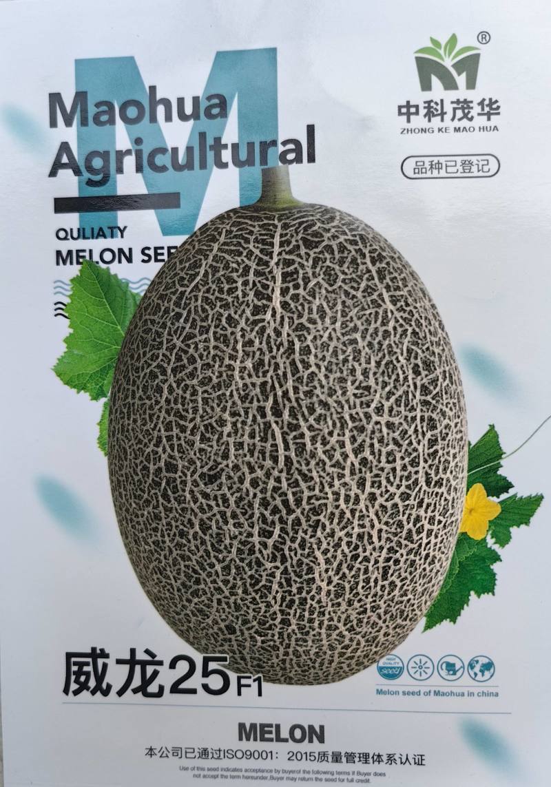 威龙25哈密瓜种子厚皮网纹蜜甜瓜种子桔黄红肉甜脆香瓜种籽