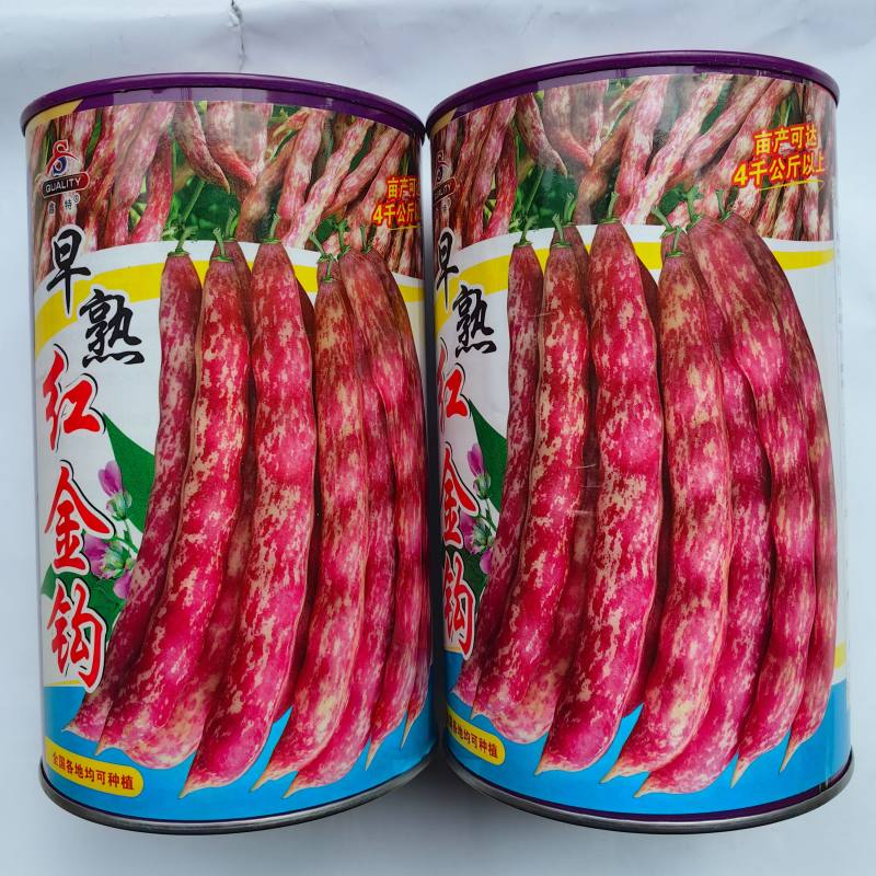 早熟红金钩种子黄金钩红皮架豆油东北无筋红皮豆角农家蔬菜种