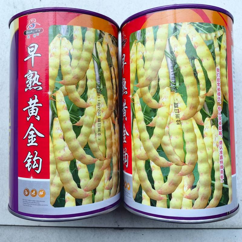 早熟黄金钩油豆种子春秋豆角黄色架豆芸豆东北特色蔬菜种籽子
