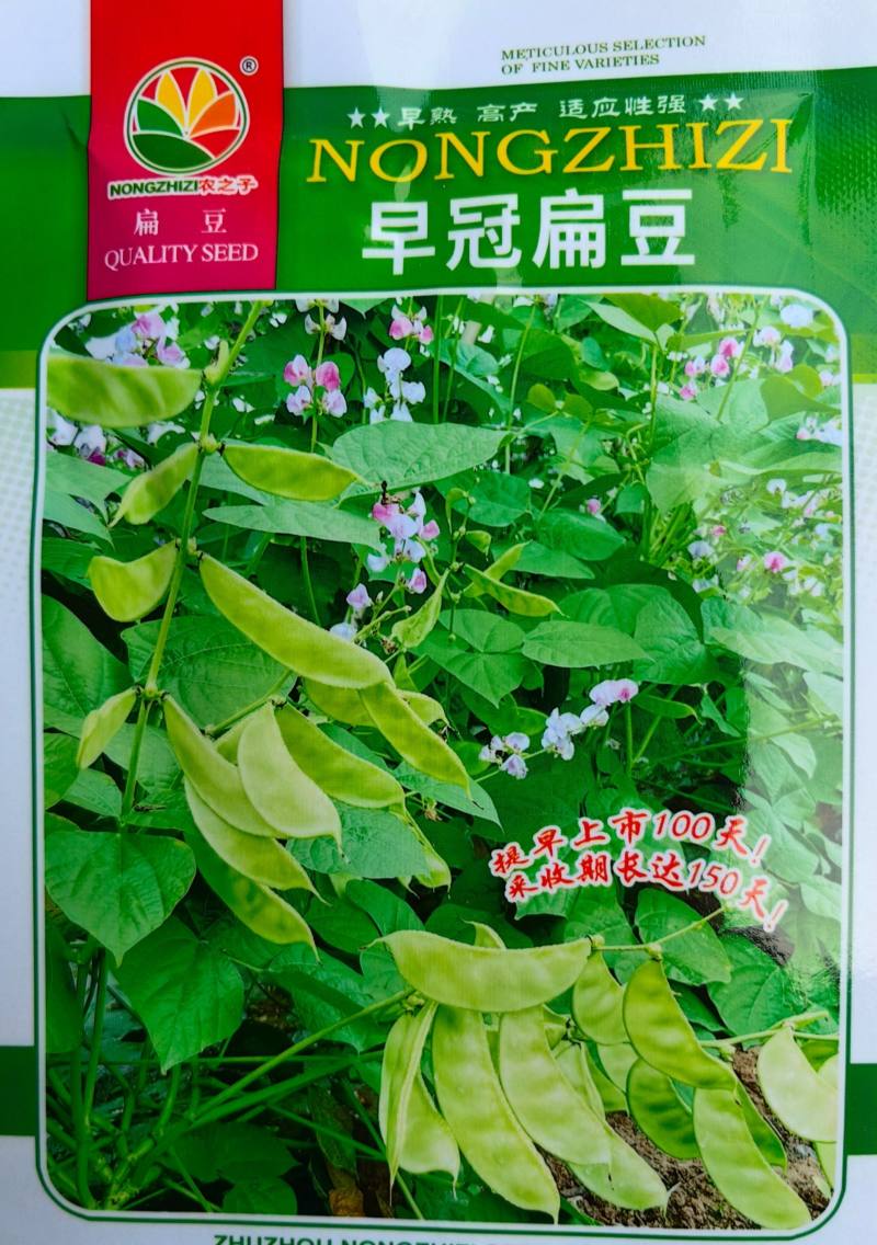 绿扁豆种子早熟嫩绿眉豆架豆农家蔬果种子四季蔬菜种籽种子