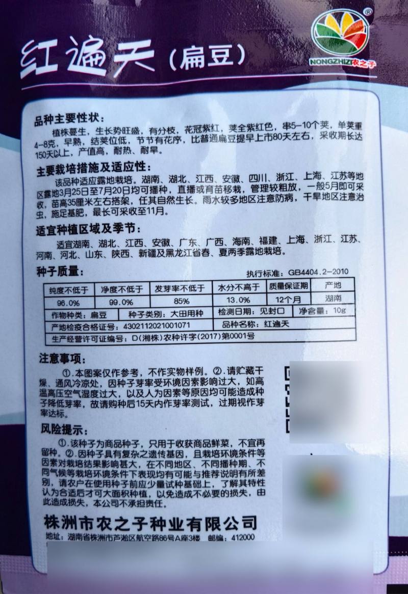 红遍天紫扁豆种子高产早熟红色眉豆大豆角种籽春秋四季蔬菜种
