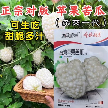 苹果苦瓜种子高产水果苦瓜种籽甘甜春天阳台盆栽家庭蔬菜种子