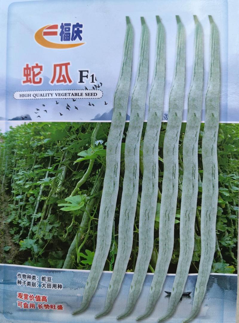 蛇豆种子蛇瓜种籽四季特大葫芦春季四季观赏野菜盆栽蔬菜种孑