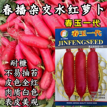 水萝卜种子春玉一号杂交红皮白肉萝卜种籽耐抽耐糠春秋蔬菜种