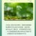 40%苯醚甲环唑杀菌剂果树蔬菜炭疽病白粉叶斑黑星枯萎病等