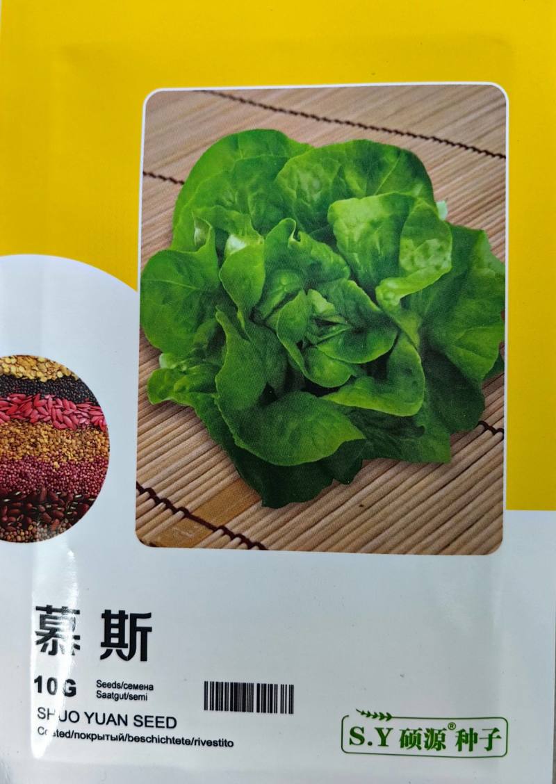 慕斯奶油生菜种子硕源耐热耐寒翠绿四季奶油生菜大田蔬菜种子