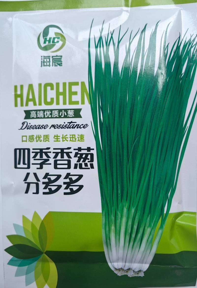 分多多香葱种子小葱种子黑叶分葱分蘖小香葱四季大田蔬菜种子