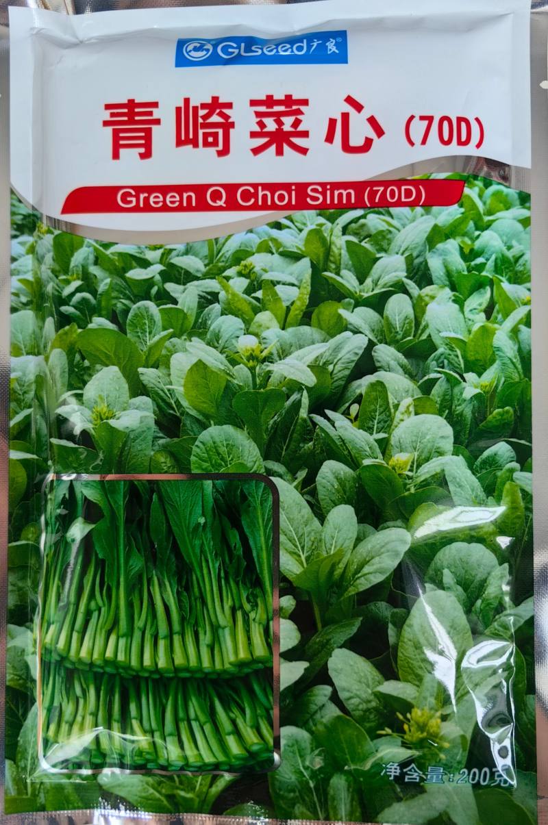 广东菜心种子广良青崎菜心青菜苔耐寒春秋油绿四季蔬菜种子籽