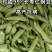 珍甜99甜豌豆种子长寿仁大荚大粒甜脆春秋播四季豌豆种籽