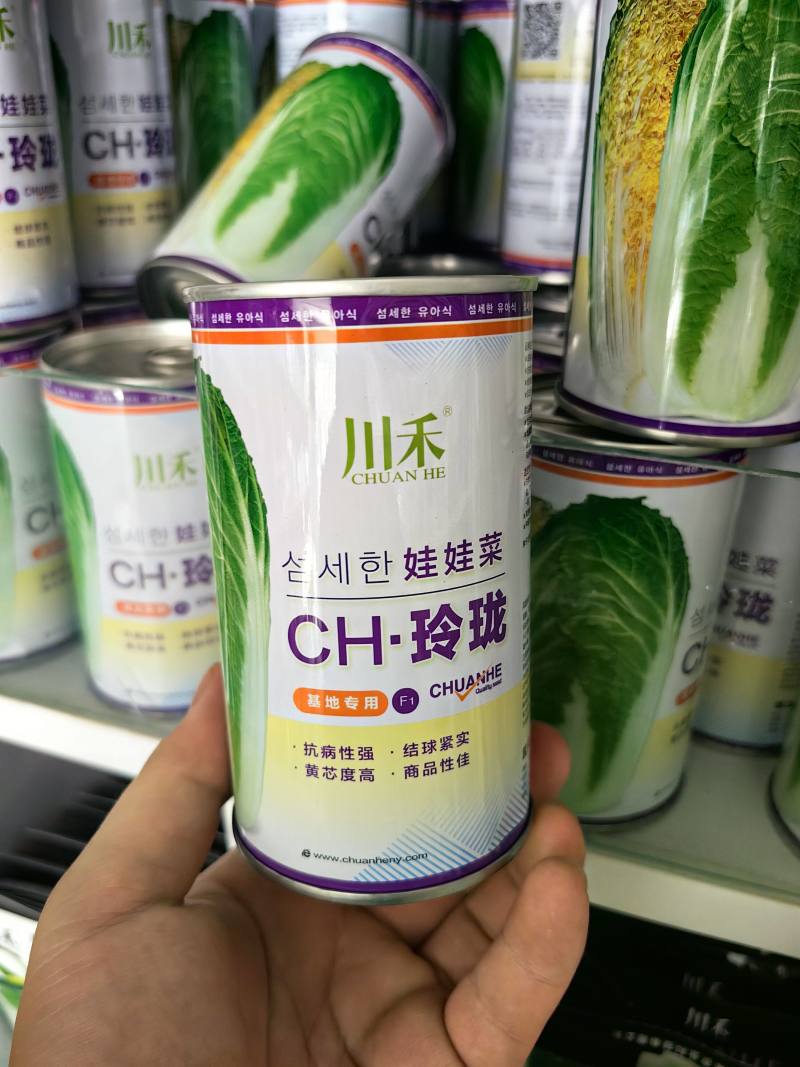 玲珑娃娃菜种子黄心黄芯早熟抗病耐寒耐抽苔春秋娃娃白菜种子