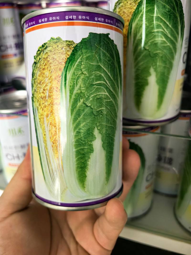玲珑娃娃菜种子黄心黄芯早熟抗病耐寒耐抽苔春秋娃娃白菜种子