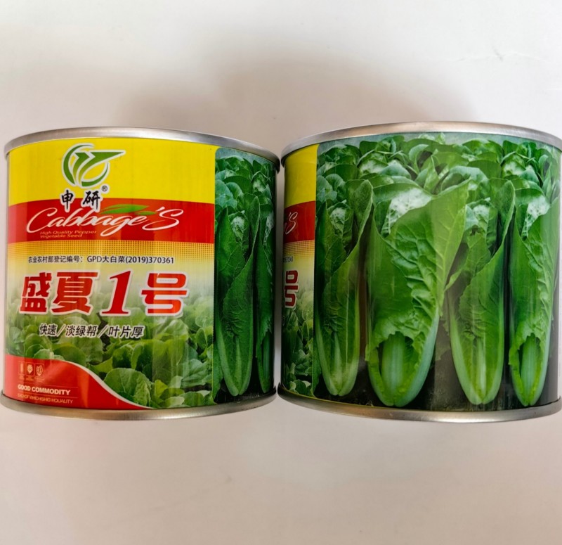 绿帮快菜种子盛夏一号耐热叶深绿抗高温绿杆快菜四季小白菜种