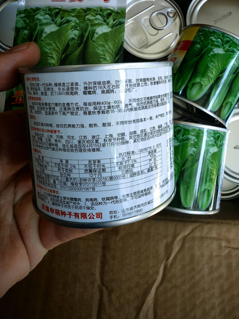 绿帮快菜种子盛夏一号耐热叶深绿抗高温绿杆快菜四季小白菜种