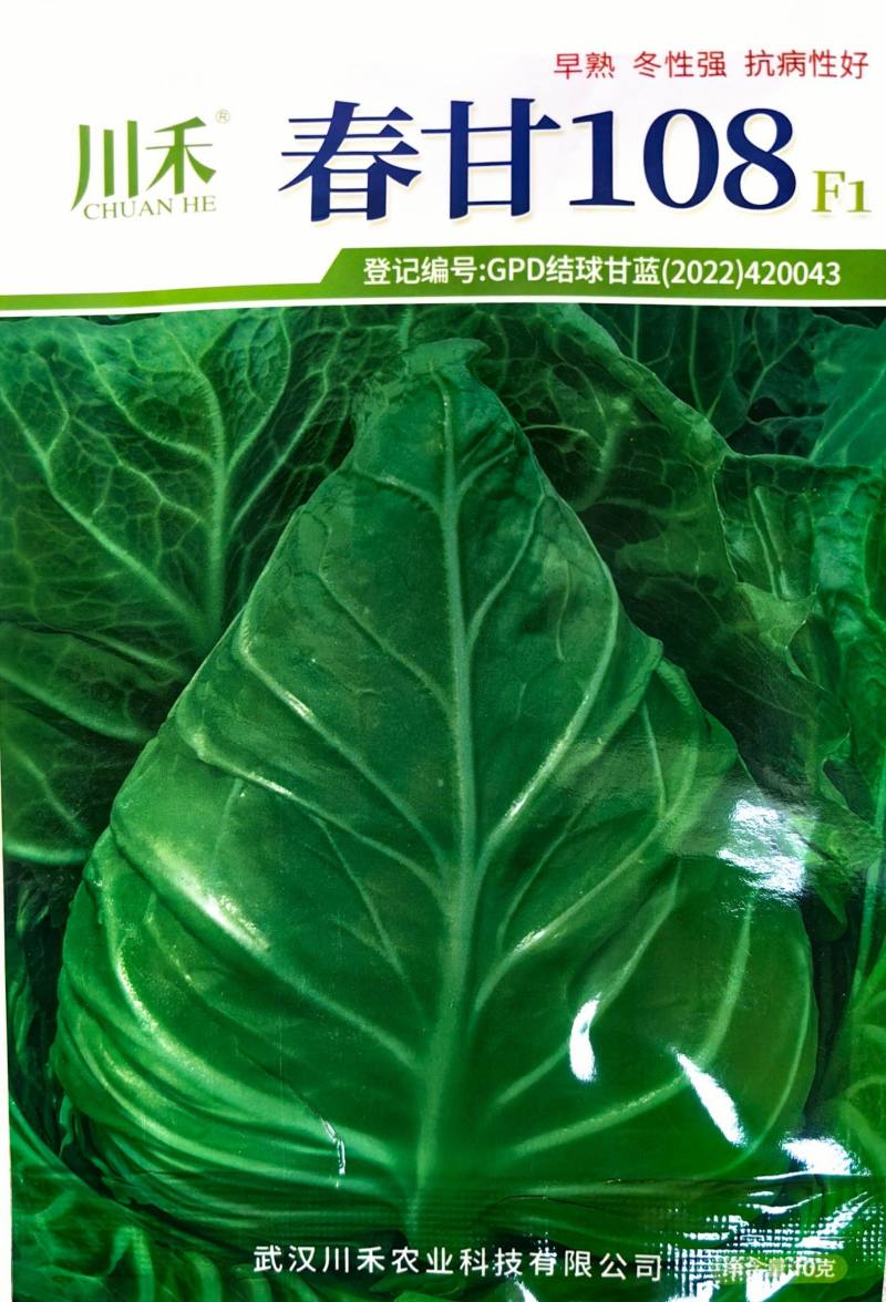 牛心甘蓝种子春甘108尖顶包菜耐寒耐抽苔越冬春秋甘蓝种籽