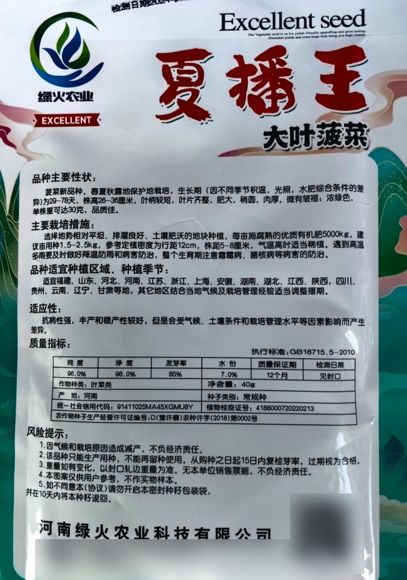 夏播王菠菜种子耐热越夏抗高温春秋大叶抗病菠菜阳台蔬菜种子