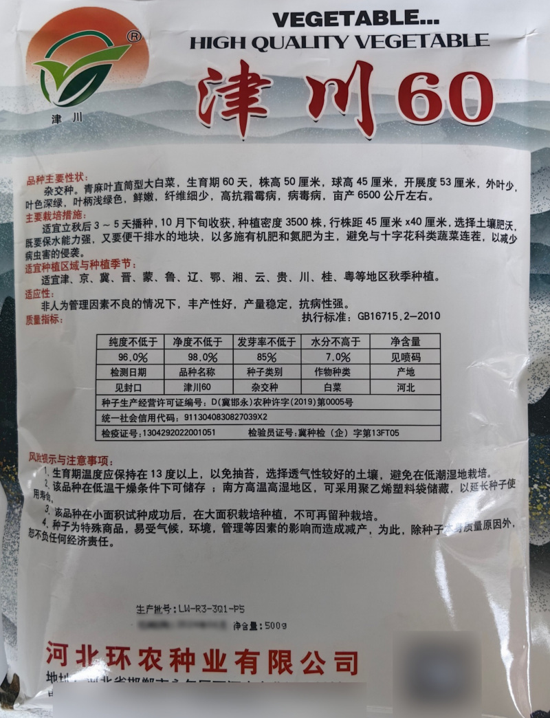 津川60麻叶青种子直筒甜脆白菜青口白秋季绿帮大白菜种籽