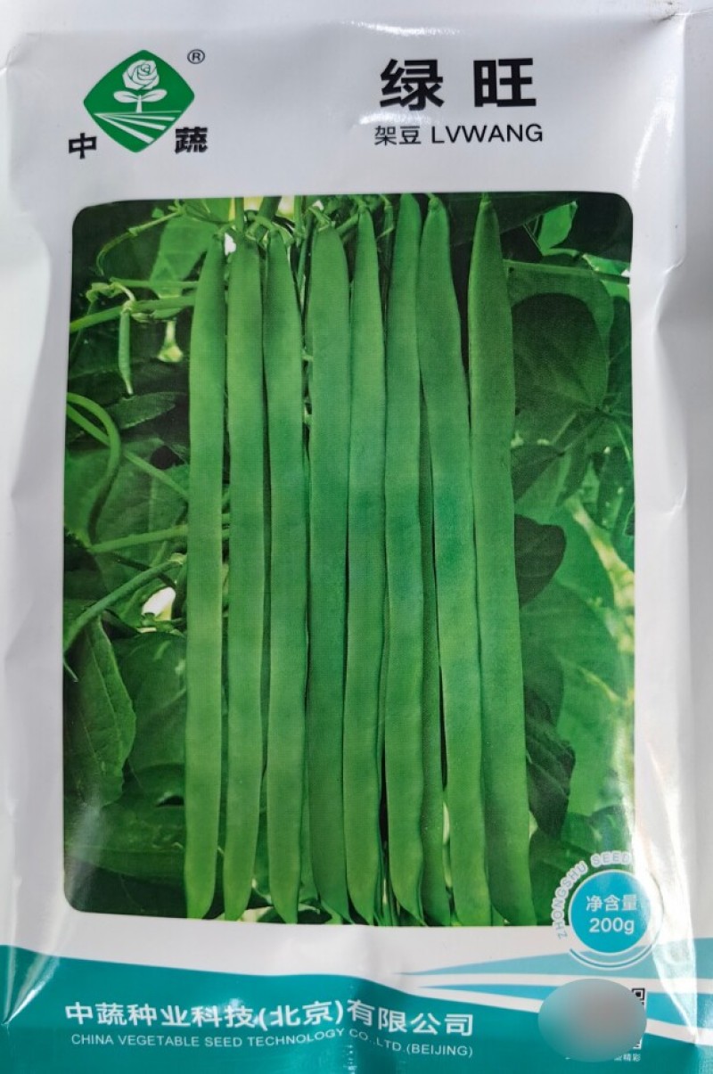绿旺扁豆种子三扁扁豆青绿架芸豆春秋抗病高产豆角蔬菜种籽孑